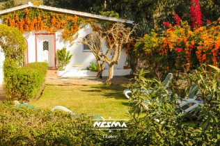 Nesma campamento al-andalus