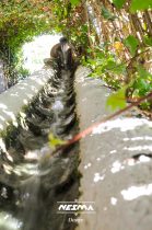 Nesma campamento al-andalus