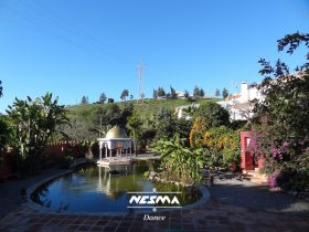 Nesma Campamento Al-Andalus Camp Casa el Morisco curso andalusi neoandalusi