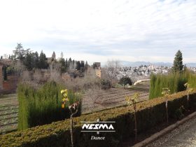 Nesma campamento al-andalus