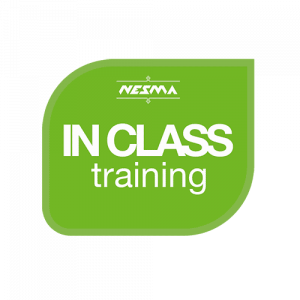 nesma in-class training